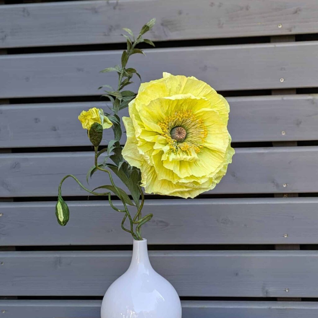 Mohnblume gelb